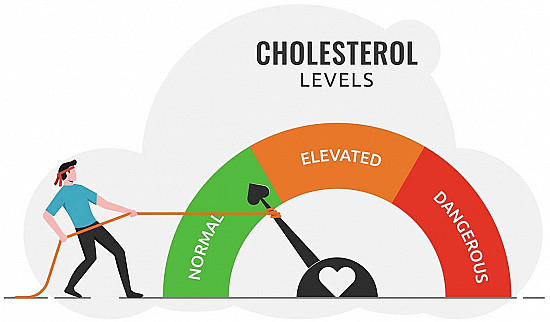 high-blood-cholesterol-levels